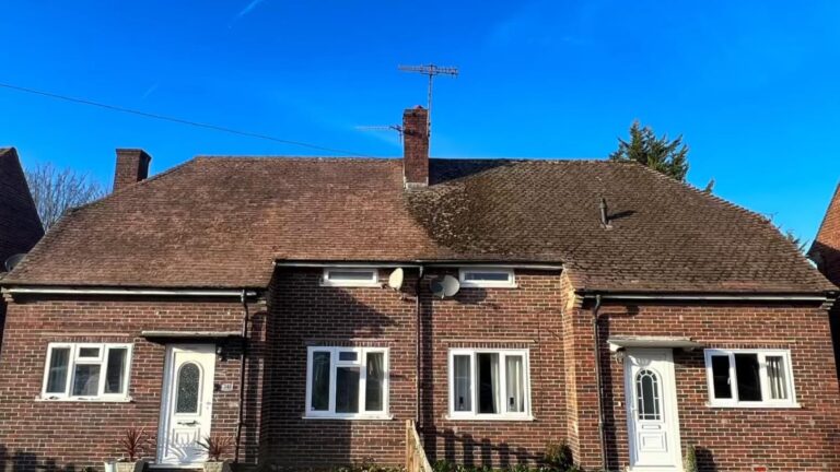 Roof cleaning service